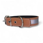 Lumen reflective leather dog collar handmade in Spain